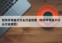 软件开发属于什么行业性质（软件开发属于什么行业类型）