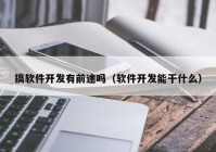 搞软件开发有前途吗（软件开发能干什么）